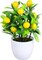 Small Artificial Lemon Tree – Faux Potted Bonsai Plant for Indoor Décor, Bathroom, Window, Tabletop, or Office with Colorful Faux Flowers